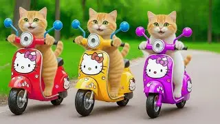 Mama Cat Takes Her Kittens on a Thrilling Ocean Boat Race 🚤🐾 | Fun Family Adventure