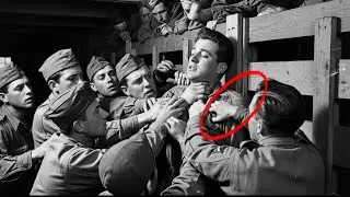 0 Bullets Fired, 75 Lives Saved: How One Medic Survived Hacksaw Ridge's Deadliest Battle (1945)