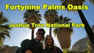 Fortynine Palms Oasis Trail in Joshua Tree National Park. There is Water in the Desert Sometimes!