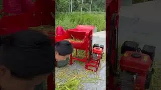 Mini Paddy Thresher Manufacturer Grain For Sorghum  Rice