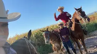 Cabalgata en el rancho el tamarindo💯#ranchero95🐜🐎🐴🌳