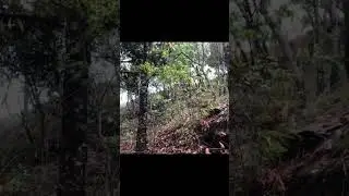 #mrbvlogs #bibidjungthapa