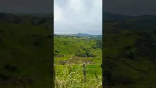 Waitomo Valley 🐑 #NZ