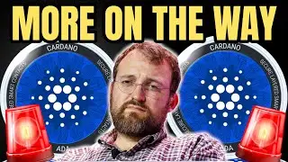 Cardano vs Bitcoin: Why ADA Keeps Hitting Record Lows | HOSKINSON TEASES EXT MOVE!
