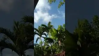 workN time (from villa/maison 193 to aparment/p25 @ Eden Island Seychelles