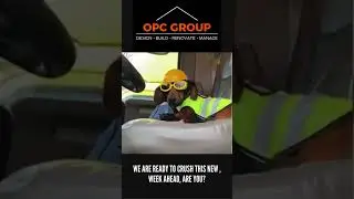 Funny dog wearing construction clothes video - Ready to Crush this new week!