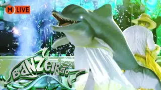 LIVE: Banzeirão do Boto Tucuxi, 2024 | Itens Oficiais | Sairé | Çairé