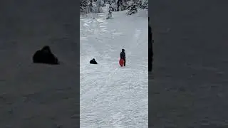 HUMAN TORPEDO -Big MAN Super FAST sled Run #shorts