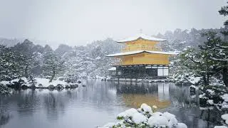 A Lake That Breathes in Winter | Soothing Rain & Falling Snow