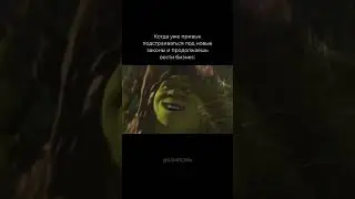 Когда подстраиваешься под новые законы 🐸