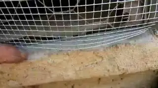 Repairing foundation house vents