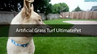 Artificial Grass Turf UltimatePet