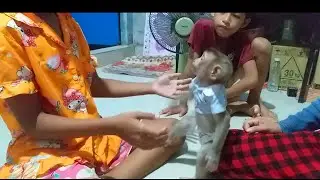 Friendly baby monkey Ella very happy and funny playing with family after milk