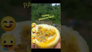 Yummy, passion fruit 😋