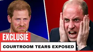 EXPOSED: Harry's SHOCKING Courtroom Collapse &mdash; Tears, Paranoia & The Evidence That Doesn't Exist