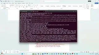 NNUNET run from online souce video