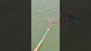 Village fishing Video 🐬 Boat fishing video 🌻( part_206) #fishing #shorts #trending #fish #boat