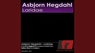 Laridae (Original Mix)