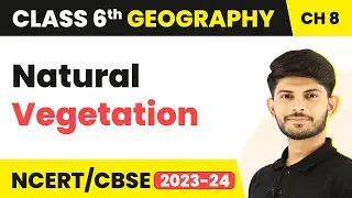 Natural Vegetation - India: Climate, Vegetation and Wildlife | Class 6 Geography Chapter 8