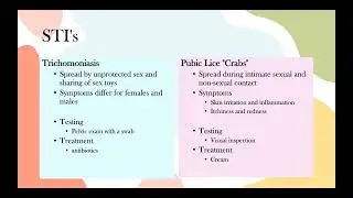 Sexual Wellness Presentation