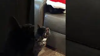 Gussie Mae Grinch