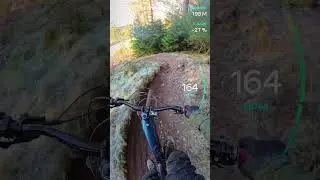 AE forest - Blue Rum trail POV in frosty winter conditions