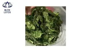 Papaya Leaves herbal Tea Improve Body Immunity system Blue Lotus Vietnam