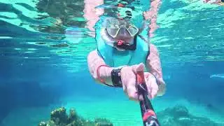 Cayman23-TurtleFarm