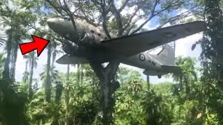 [Full Story] Explorers Found Plane Wreck in Jungle, What Was in the Cargo Made Them Cry&hellip;