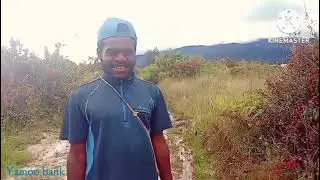 🎙️Lagu Judul : Pane Dimii Gayee ( Pro 2025 ) Studio Yamoo Kebo Cipta Mebax 🎙️