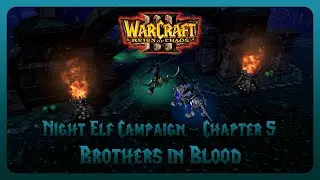 Warcraft III Reforged (Reign of Chaos) - Night Elf Campaign - Chapter 5: Brothers in Blood