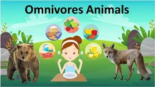 Ominivores animals |#typesofanimals |#omnivores