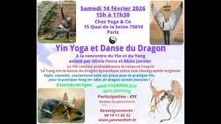 Yin yoga et danse du dragon