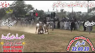 dand ki dor #dandrace