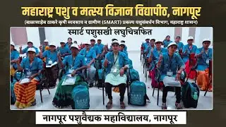 Documentary : NVC-MAFSU-SMART Training for Pashusakhi