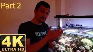 4K (Ultra HD) I visited Onur Ayna's reef aquarium part 2 (Onur Ayna Resif Akvaryumu Ziyareti Bölüm2)