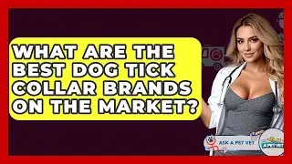 What Are The Best Dog Tick Collar Brands On The Market? - Ask A Pet Vet