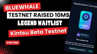 BlueWhale Testnet Raised 10M$ | A to Z Task Guide| Legend Waitlist & Kintsu Testnet