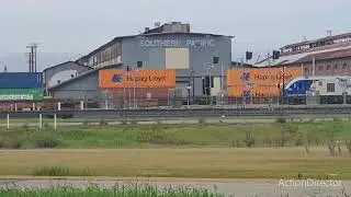 Amtrak & Union Pacific Trains @ Sacramento CA (Ft UP 6310 Southern Pacific Patched Unit) 1/21/2026