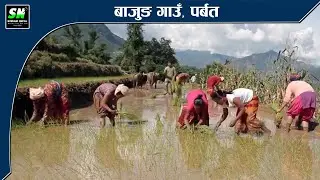 Bajung  Village Promotional Video बाजुङ गाउँ पर्बतको प्राकृतिक दृस्याहरु