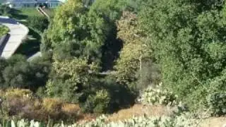 Hollyhill Lane Custom Home Lot