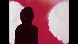 Peter Landi - HIGH (Official Video)