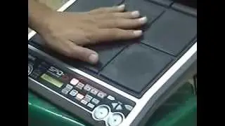 ROLAND SPD شرح