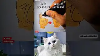 do you know 💀 #shorts #cat #dance #trending #funny