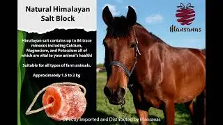 Mansanas Himalayan Pink Salt Animal Lick Blocks
