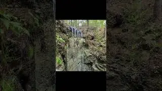 #fallingwaterstatepark #panhandle