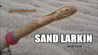 SAND LARKING FOR ARTIFACTS