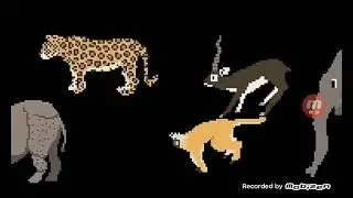 Indian Mammal Stampede
