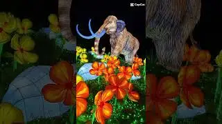 Dublin Zoo Wild Lights 2024 Top 1 to visit  #wildlights #Dublin #irish