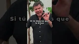 Tip parrillero para carne nacional